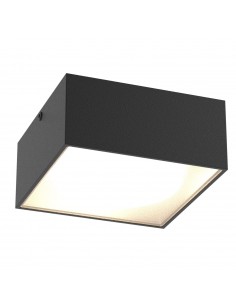 PSM Lighting Toledo W3069 Ceiling Lamp / Wall Lamp