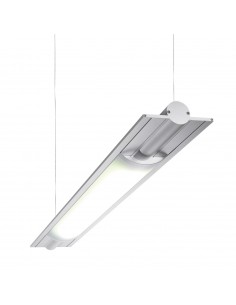 PSM Lighting Butterfly 2803Led Suspension Lamp