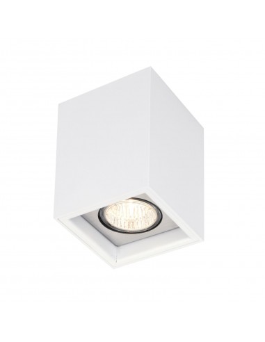 PSM Lighting Betaplus 1701.Es50 Ceiling Lamp