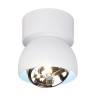 PSM Lighting Olivia 1811 Ceiling Lamp