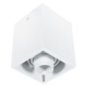 PSM Lighting Spinner X Forum 1885.Es50 Ceiling Lamp