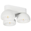 PSM Lighting Olivia 1815.E27 Plafondlamp