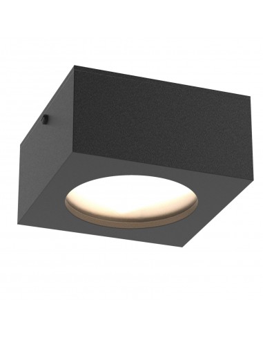 PSM Lighting Toledo 3062W Ceiling Lamp / Wall Lamp