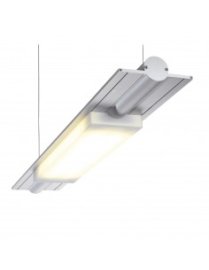 PSM Lighting Butterfly 2805Led Suspension Lamp