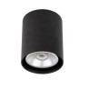 PSM Lighting Richard W1615 Ceiling Lamp
