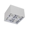 PSM Lighting Spinner X Ds 1890Ds.Es50 Ceiling Lamp