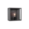 PSM Lighting Polo W736 Lampe Murale