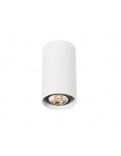 PSM Lighting Mero 1837.Es50 Plafondlamp