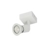 PSM Lighting Capucine 4510 Ceiling Lamp