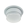 PSM Lighting Manta W3155 Ceiling Lamp