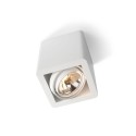 Trizo21 R07 up Plafondlamp