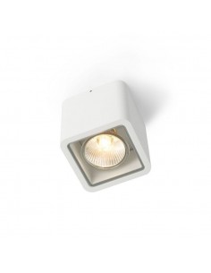 Trizo21 Code 1 OUT 12V ceiling lamp