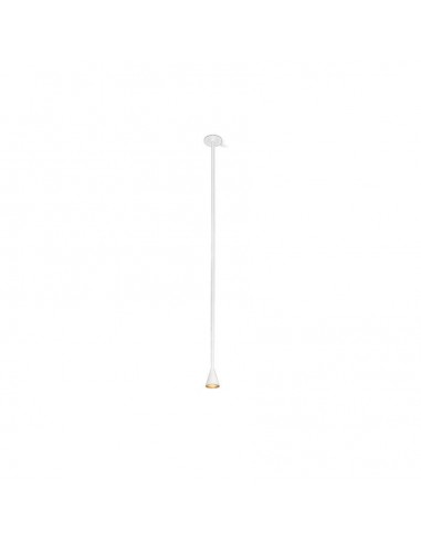 Trizo Austere-Solitaire RF ceiling lamp