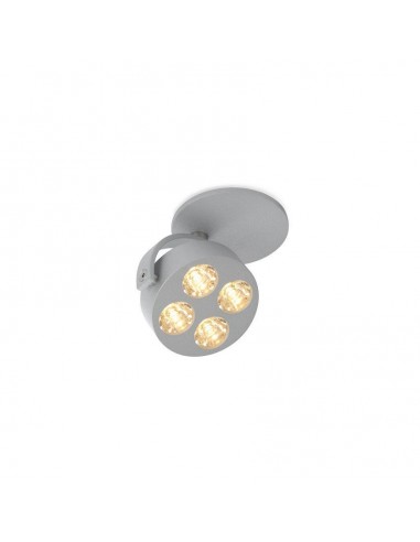 Trizo Mini-Pi 1C in ceiling lamp
