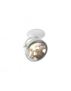 Trizo21 Pin-In 1 Plafondlamp