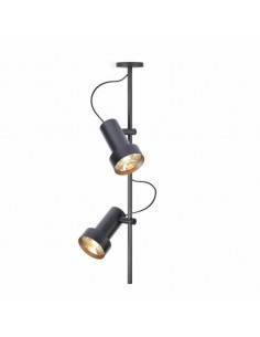 Trizo 2Thirty-C2 in ceiling lamp
