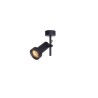 Trizo 2Thirty-C1 with honeycomb ceiling lamp