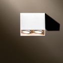 TAL DJANGO 2 ORIENTABLE GU10 plafondlamp
