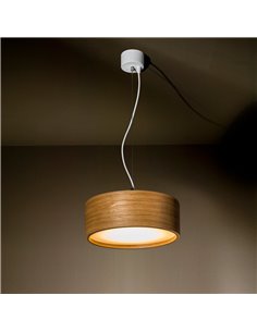 TAL FABIAN Suspended DIMMABLE lampe suspendue