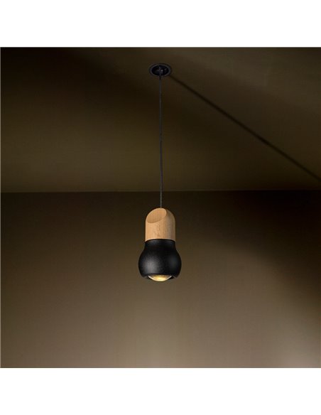 TAL KALEBAS LED M10 CI MAINS DIMMABLE lampe suspendue