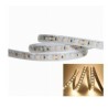 Integratech LED strip 120LED/m SMD2835 24V IP67 5m