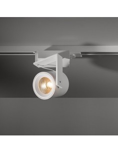 Modular Single round LED GI Ceiling lamp