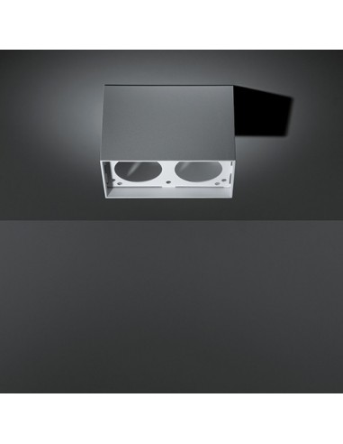 Modular Smart surface box 82 2x LED GI Ceiling lamp
