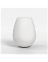 Tacoma-Tulip-Glass-280037-5036007-p1