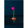 Catellani & Smith Ale Be T lampe de table