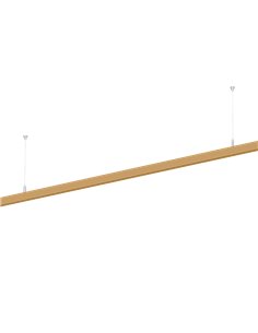 Wever & Ducré Strex Track Profile Surf / Susp M 2M