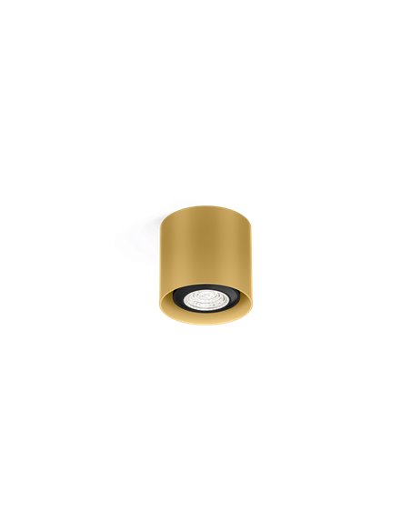 Wever & Ducré RAY MINI 1.0 PAR16 Ceiling lamp