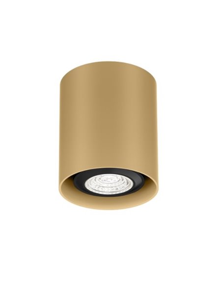 Wever & Ducré RAY MINI 1.0 PAR16 Plafondlamp