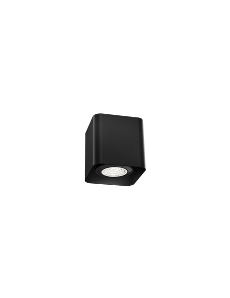 Wever & Ducré DOCUS MINI 1.0 PAR16 plafondlamp