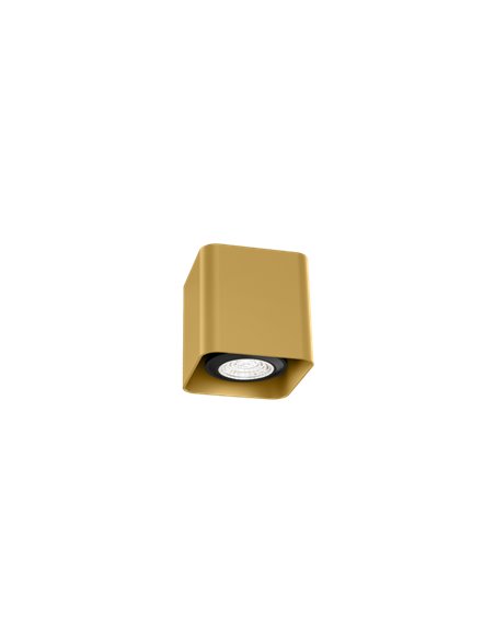 Wever & Ducré DOCUS MINI 1.0 PAR16 Ceiling lamp