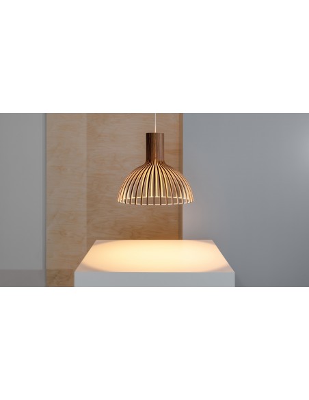 SECTO DESIGN Victo 4251 Hanglamp - Klein