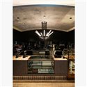 Delta Light XY180 S121 DIM1 Plafondlamp