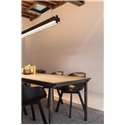 Delta Light One-And-Only P12 Down-Up Hanglamp