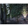 IP44 Shot 4 W Connect Poteau de Jardin