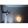 Foscarini Gregg Media Wall/Ceiling Plafonnier / Applique