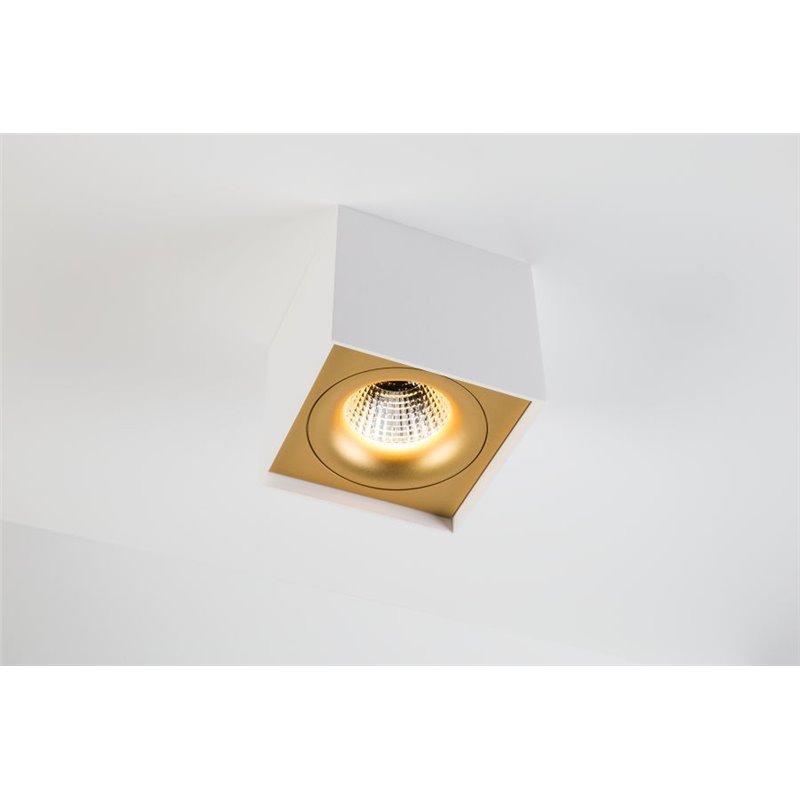Modular Smart surface box 115 1x LED warm dim GI