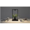Artemide Curiosity 36 / FOCUS Lampe de table
