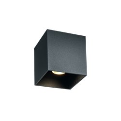 Wever & Ducré Box Outdoor Ceiling Surf 1.0 Led Plafondlamp