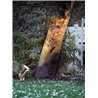 Nordlux Taurus [IP54] garden lamp