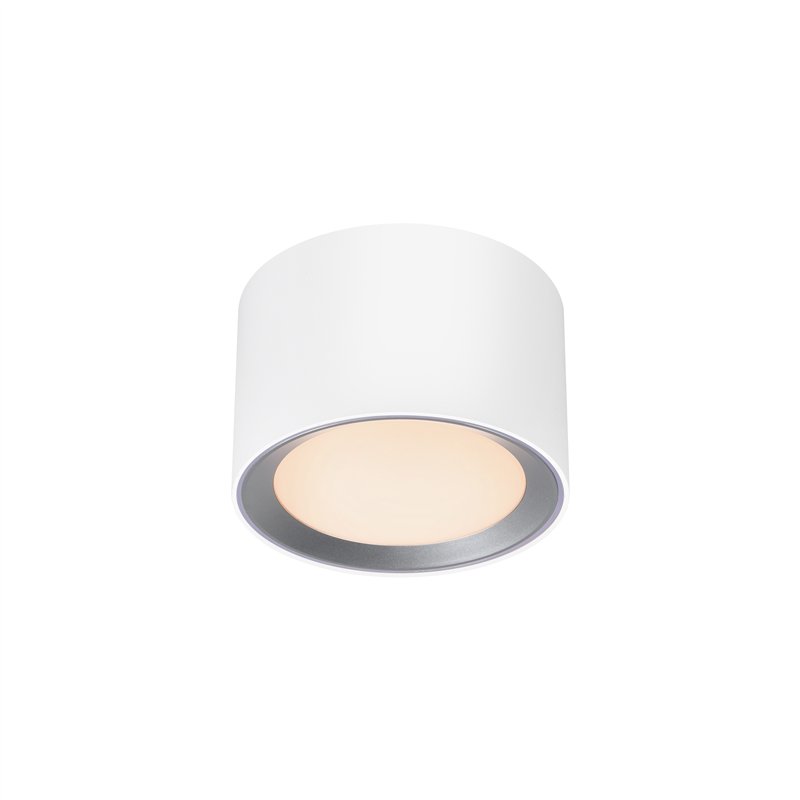 Nordlux Landon [IP44] 3-step Dim Plafondlamp