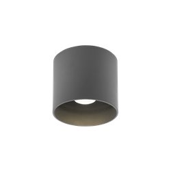Wever & Ducré Ray Outdoor Ceiling Surf 1.0 Led Plafondlamp