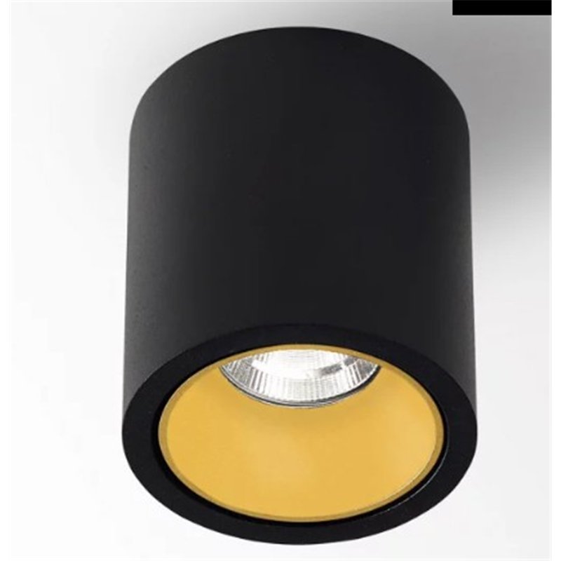 Delta Light R HE Plafonnier