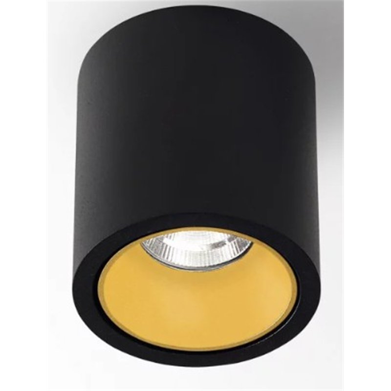 Delta Light R HE Plafonnier