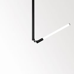 Delta Light XY180 S81 Plafondlamp