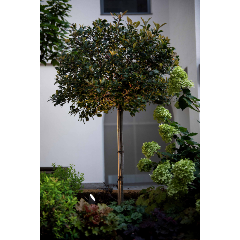 Wever & Ducré Stipo 2.0 Bodenlampe