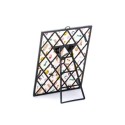 SELETTI Toiletpaper Spiegel 22,5x29,5 cm - Snakes
